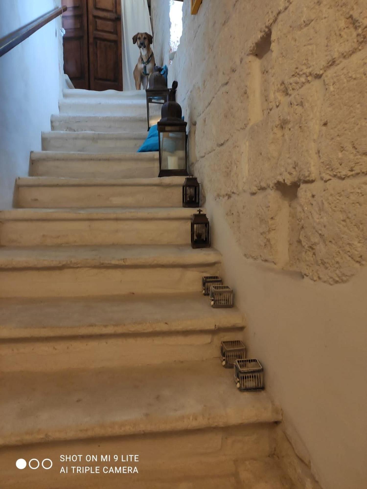 Che Vista!! Ostuni ,Sulle Bianche Mura Con Vista Mozzafiato Buitenkant foto